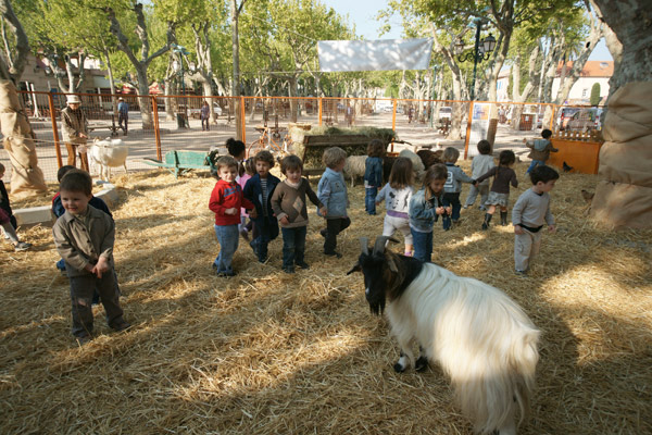 Image 1 - Sur la place des Lices, une ferme très appréciée des enfants