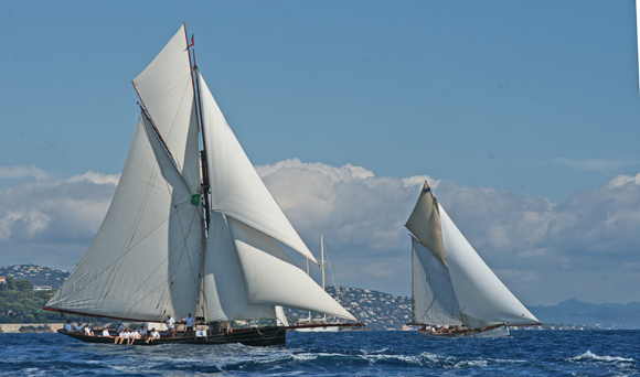 Image 11 - Voiles de Saint-Tropez : fréquentation record et météo radieuse