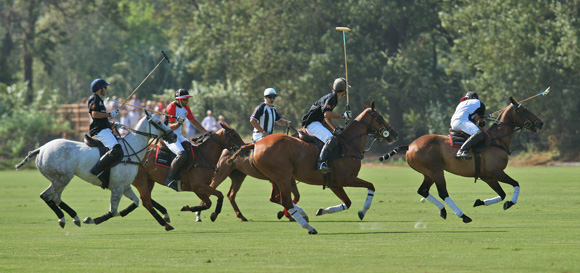 Image 4 - L’International Polo Cup défile sur le port