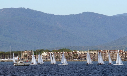Dragon Cup de Saint-Tropez (régate)