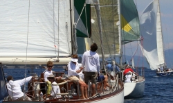 Golf voile cup