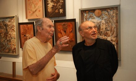 Les herbiers de Delpire au musée des Papillons