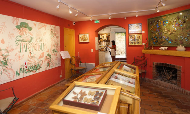 Réouverture de la Maison des papillons-Musée Dany Lartigue