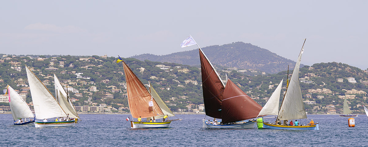 Un millésime 2016 des Voiles latines placé sous le signe de la lumière