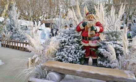 Les plus belles images des fêtes de noël 2016