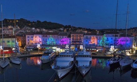 Projections son et lumière sur les façades du port