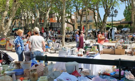 Vide-grenier du GAPE