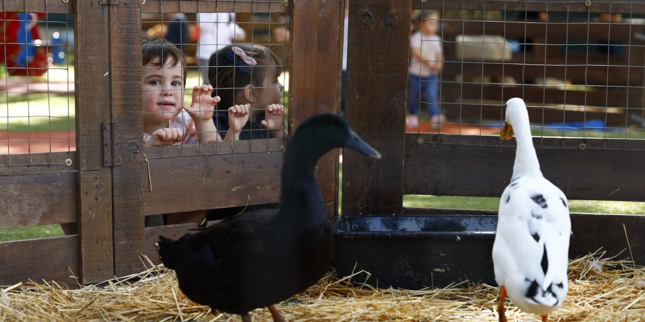 Une petite ferme à l’Escouleto