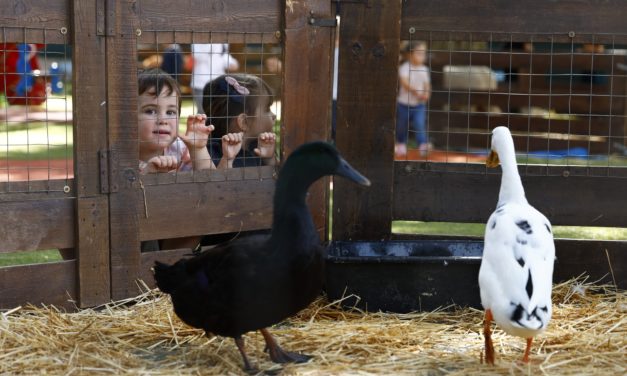 Une petite ferme à l’Escouleto