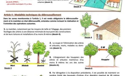 Débroussaillement obligatoire dans et à proximité des zones exposées aux incendies de forêt sur la commune de Saint-Tropez