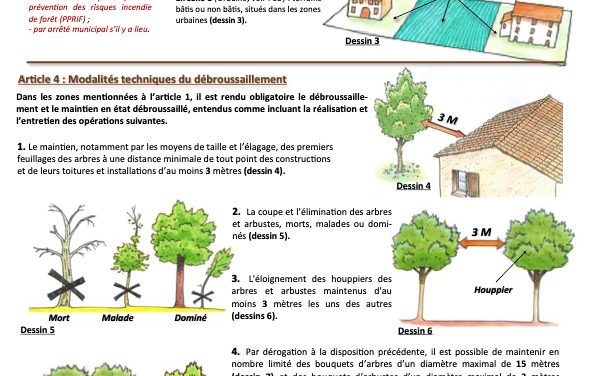 Débroussaillement obligatoire dans et à proximité des zones exposées aux incendies de forêt sur la commune de Saint-Tropez