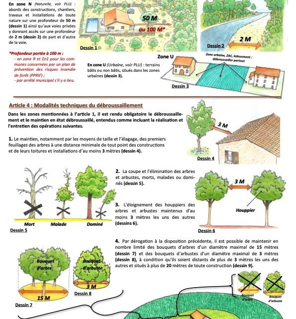 Débroussaillement obligatoire dans et à proximité des zones exposées aux incendies de forêt sur la commune de Saint-Tropez