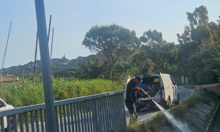 Lutte contre les moustiques – traitement de l’ensemble des points d’eau