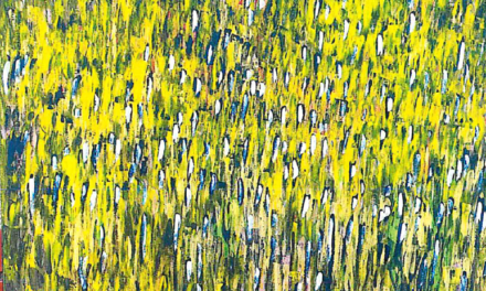 Les expositions du lavoir Vasserot : Olivier DALMON