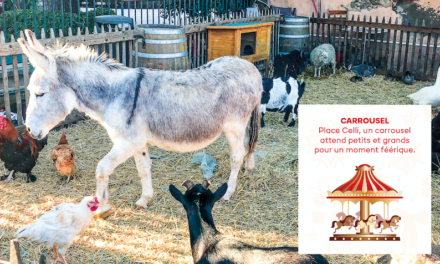 Chalet du Père-Noël et sa petite ferme