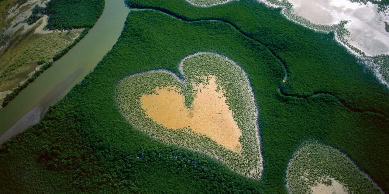 40 ans de photographie et portrait des Tropéziens par Yann Arthus-Bertrand