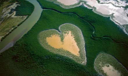 40 ans de photographie et portrait des Tropéziens par Yann Arthus-Bertrand
