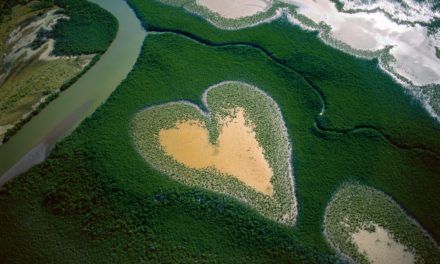 40 ans de photographie et portrait des Tropéziens par Yann Arthus-Bertrand