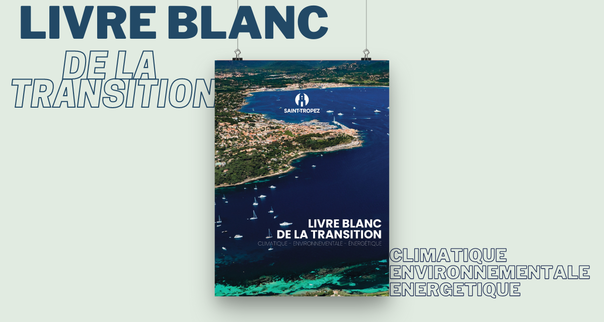 Livre Blanc de la transition climatique, environnementale et énergétique.