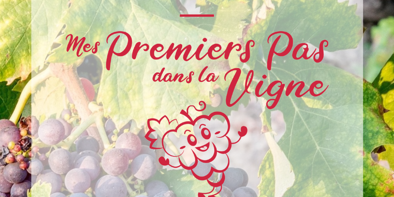 Journée à la découverte de la vigne