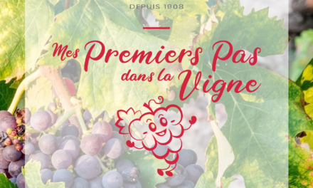 Journée à la découverte de la vigne