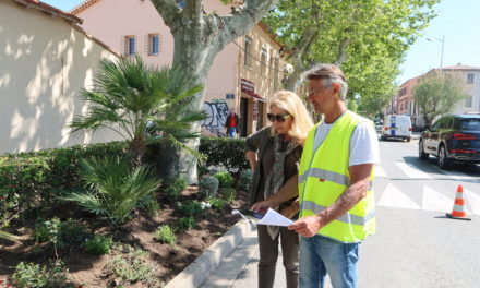 Végétalisation de l’entrée de ville