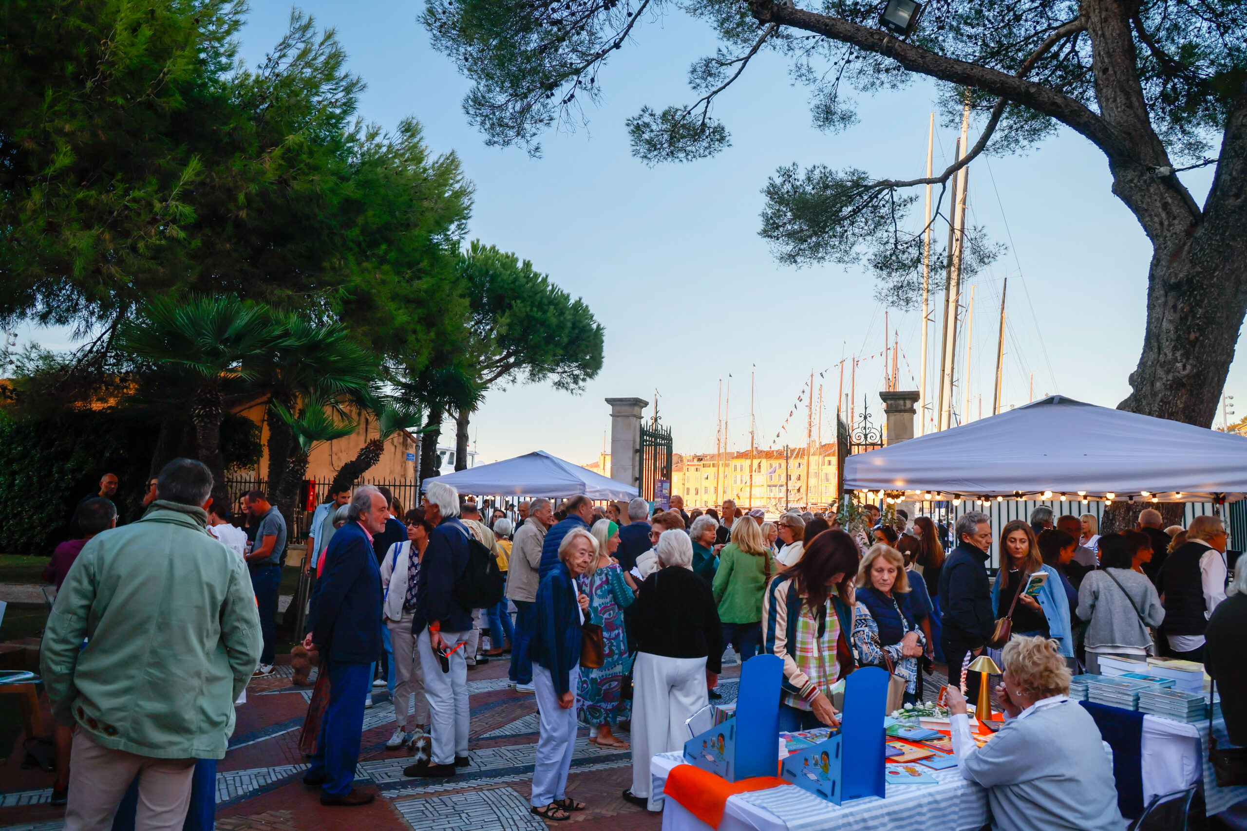 Les Plumes de Saint-Tropez