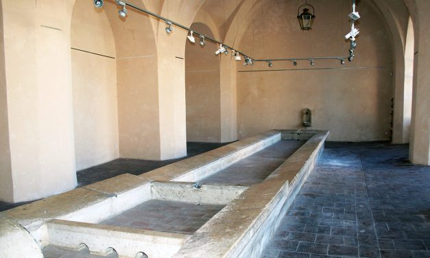 Les expositions du lavoir Vasserot : Bénédicte de VICTOR & Françoise WILSON (photographes)